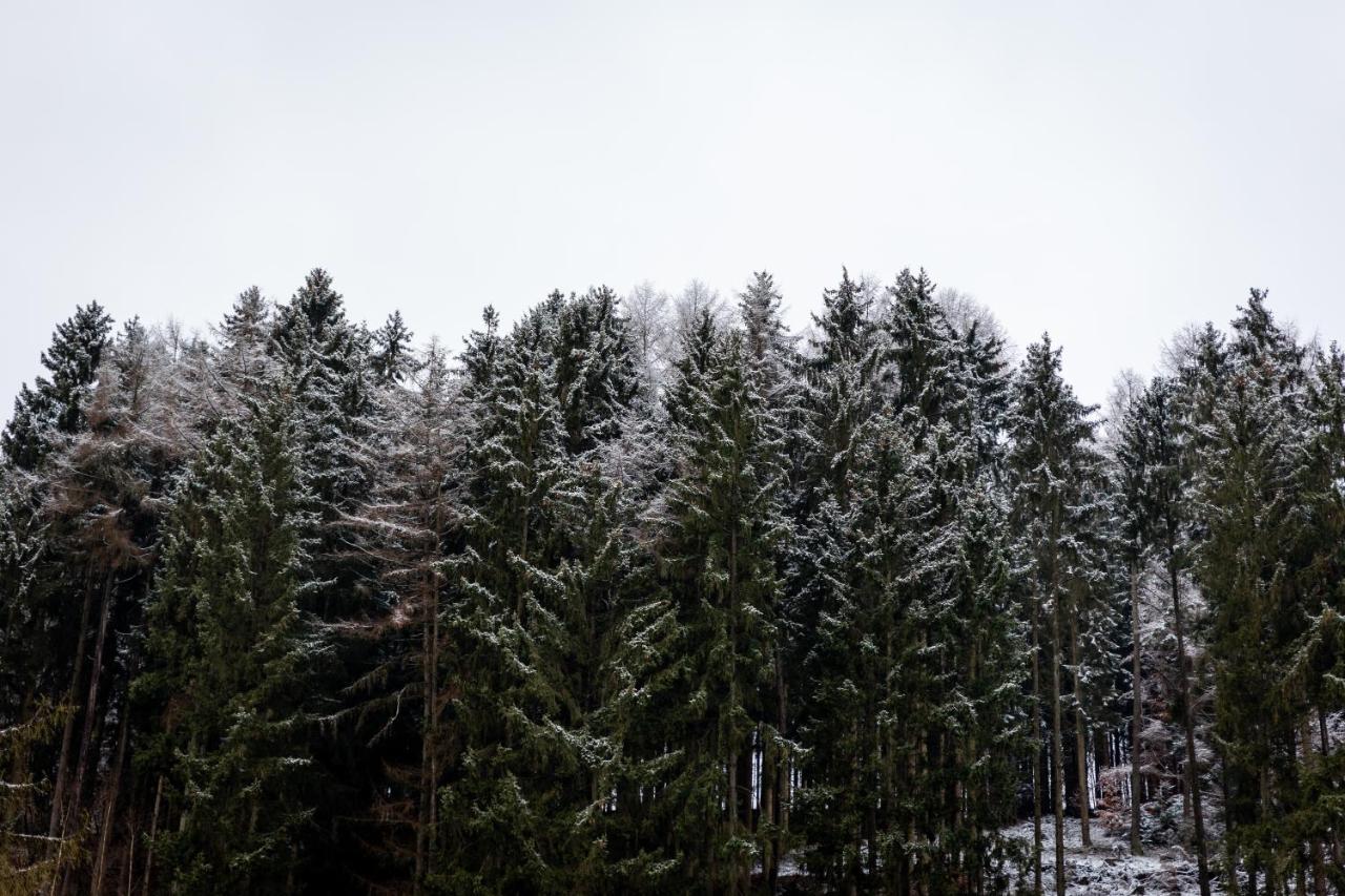 Hotel Tiefenhagen Sauerland Lennestadt Exteriör bild